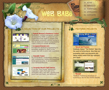 Biz Kellum Web Babe Publishing Honolulu Web Designer